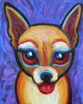 Americas favorite , the short hair chihuahua,who would have guessed the great popularity.